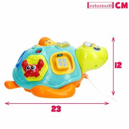 Juguete de arrastre Winfun 23 x 12 x 23 cm Tortuga Multicolor (2 Unidades)