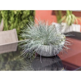 Eda Maceta de lavabo Graphit'Up Ø 30 - 5.5L - Blanco cal