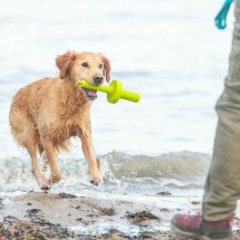 Mordedor de perro Trixie 29 cm