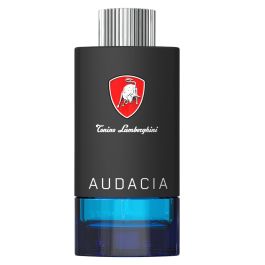 Techno Audacia, Agua de Tocador, Para hombres, 100 ml Precio: 59.4715. SKU: B12X7VCWXD
