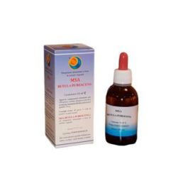 Msa Betula Pubencens Yemas 50Ml. Precio: 17.5000001. SKU: B1CMNWFHMH
