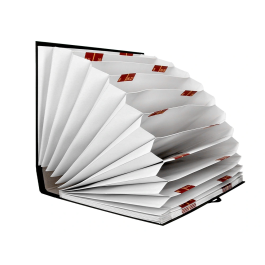 Liderpapel Carpeta Fuelle Folio Cartón Forrado Negra 20 Departamentos 25x350x305 mm