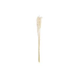 DKD Home Decor Ramo de Flor Seca de Avena Color Beige, 57 cm de Alto, Pack de 12 Unidades Precio: 47.3715. SKU: B1JJY86DJ6