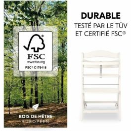 Hauck Trona Evolutiva BETA+ de Madera FSC con Arnés 5 Puntos y Ruedas - De 6 Meses a 90 kg - Blanco