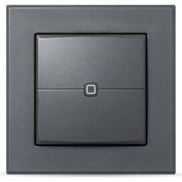 Homematic IP Wandtaster - 2-fach. anthrazit Precio: 78.88999987. SKU: B17E7669GL