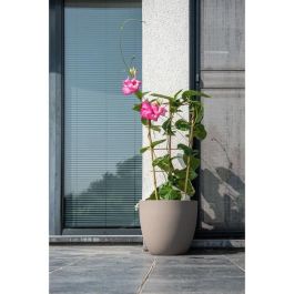 Maceta - GARDEN ID - Phoenix Taupe - 38 x 34 cm - 100% Reciclada y Reciclable - Resistente a las heladas y a los rayos UV - Para Exterior Maceta - GARDEN ID - Phoenix Taupe - 38 x 34 cm - 100% Reciclada y Reciclable - Resistente a las heladas y a los rayos UV - Para Exterior