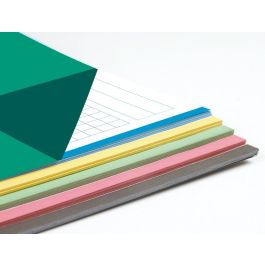 Recambio Liderpapel A4 100 Hojas 100 gr-M2 Cuadro 5 mm 4 Taladros Bandas De 5 Colores 24 unidades