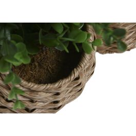 DKD Home Decor Planta Artificial Verde Natural PE/Fibra 25.5 x 28 x 25.5 cm (6 Unidades)