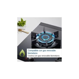 Placa de Gas BOSCH PNC6B6B90 60 cm 7300 W
