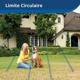 Collar receptor inalámbrico para mascotas PetSafe 3,6+ kg Collar receptor inalámbrico para mascotas PetSafe 3,6+ kg