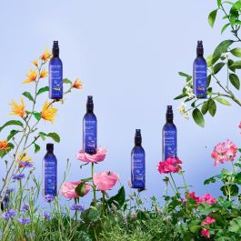 Melvita Agua Floral de Geranio Loción Tonificante Purificante Equilibrante Piel Visiblemente Más Bella 200 ml