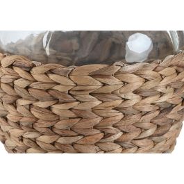 DKD Home Decor Jarrón Básico Natural 19 x 30.5 x 19 cm (4 Unidades) Cristal y Fibra