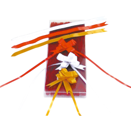 Eurocinsa Cinta para Lazos Rojo 130 cm x 31 mm Polipropileno para Regalos