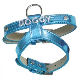 Freedog Arnés Brightdoggy Azul 20 mm Precio: 7.88999981. SKU: B1DNX9GRMH