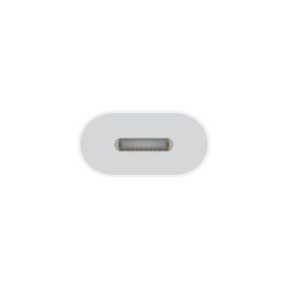 Apple Adaptador USB-C a Lightning