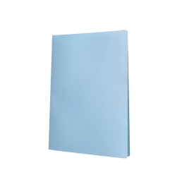 Liderpapel Carpeta Escaparate 20 Fundas Polipropileno DIN A4 Celeste Opaco