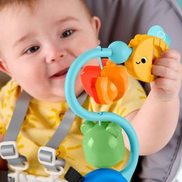 Fisher Price Jhb46 Juguete Con Sonidos Sensoriales Para Bebé +3 Meses