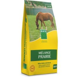 Césped - BHS - Mezcla para pradera 5 kg | 500m² | Para zonas extensas y pastos | Instalación rápida, duradera, sin mantenimiento. Precio: 91.50000035. SKU: B1GYNMRQ9L