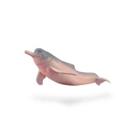 Collecta M-88994 Delfín del Río Amazonas - Figura Réplica Detallada a Escala Pintada a Mano - Juguete Educativo +3 Años Precio: 5.9532. SKU: B1K5D6FZKQ