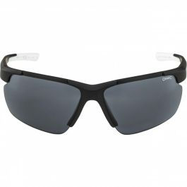 Gafas de Sol Hombre Alpina DEFEY HR