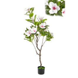 Flores Decorativas Romimex Blanco Magnolia 50 x 130 x 50 cm Precio: 128.5988. SKU: B12S7MNPHS