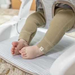 Ingenuity ING74451169302 Asiento de Aprendizaje Prop Spot, 3 Posiciones, Tableta y 2 Juguetes, Casi la Cebra