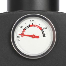 Livoo DOC331 Horno de Pizza y Tarta Flambeada