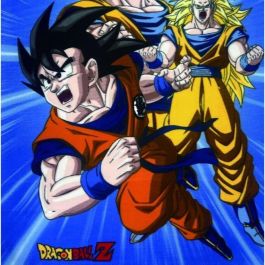 Dragon Ball CHA1728305596239 Cuadros Dragon Ball Z - 100 x 140 cm