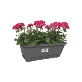 Elho Barcelona XL Allin1 55 Jardinera rectangular perforada de plástico antracita, 18L para balcón y exterior Elho Barcelona XL Allin1 55 Jardinera rectangular perforada de plástico antracita, 18L para balcón y exterior