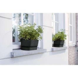 Greenville Oval Planter - Plastic - Ø50 - Marrón congelado