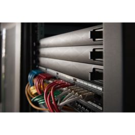 Digitus Panel Vacío 1U para Armario de Red/Servidor, Snap-In, ABS Sintéticos, Negro
