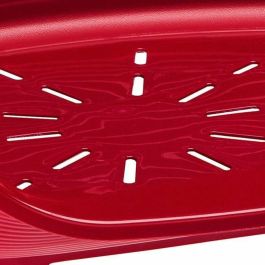 Ferplast Cama Plástico Siesta Deluxe 4 Perro Gato Burdeos