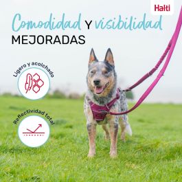 Halti Anatomy Correa Multiposición Turquesa S para Perros (hasta 25kg) - Doble Enganche, Adiestramiento, Reflectante, 2m