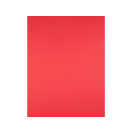 Liderpapel Cartulina 50x65 cm 240g/m2 Rojo para Dibujo y Manualidades