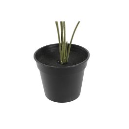 DKD Home Decor Little Monstera Planta Verde 40 x 30 x 50 cm (2 Unidades)