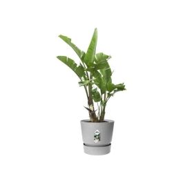 Maceta redonda ELHO Greenville 47 - Exterior - Ø 47 x H 44,1 cm - Hormigón vivo gris Maceta redonda ELHO Greenville 47 - Exterior - Ø 47 x H 44,1 cm - Hormigón vivo gris