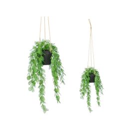 Planta Hoja Partida Colgar Med Ibergarden 27X36CM (12 Unidades) Precio: 40.79000024. SKU: B16DZWNWFZ