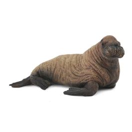 Cria De Morsa -M- 88570 Collecta Precio: 5.9532. SKU: B1KND45LRH
