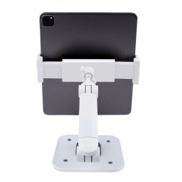 Soporte para Tablet Startech ADJ-TABLET-STAND-W Blanco Soporte para Tablet Startech ADJ-TABLET-STAND-W Blanco