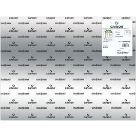 Iris Cartulina 50x65 cm 280 gr Gris Plata -25U- Precio: 26.59000047. SKU: S8410418