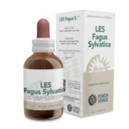 Les Fagus Sylvatica Haya 50Ml. Les Fagus Sylvatica Haya 50Ml. Precio: 16.5899998. SKU: B1D4GV5RSL