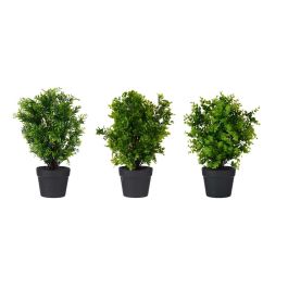 Maceta Plastico Negra Grande Plantas Verdes Surtidos Ibergarden 25X50CM (3 Unidades) Maceta Plastico Negra Grande Plantas Verdes Surtidos Ibergarden 25X50CM (3 Unidades)