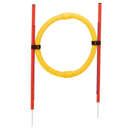 Ferplast Agility Pa 6862 Circle Precio: 47.49999958. SKU: B1EPCMXZKP