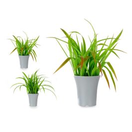 Maceta Alta Plantas Hojas Surtidos Ibergarden 14X47CM (6 Unidades) Precio: 54.49999962. SKU: B184CKTTKZ
