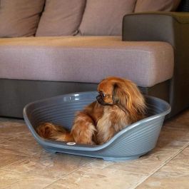 Ferplast Cama Plastico Siesta Perro Gato Deluxe 4 gris Ferplast Cama Plastico Siesta Perro Gato Deluxe 4 gris