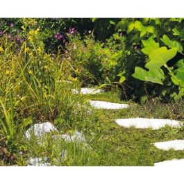 Einhell GE-CG 12 Li WT Akku-Gras-und Strauchschere 1.5Ah/12V – Tijeras Cortacésped y Cortasetos Inalámbricas 10/19 cm