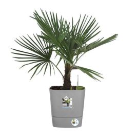 ELHO - Maceta - Greensense Aqua Care Square 38 - Cemento claro - Interior/exterior - Ø 38 x H 38,9 cm ELHO - Maceta - Greensense Aqua Care Square 38 - Cemento claro - Interior/exterior - Ø 38 x H 38,9 cm