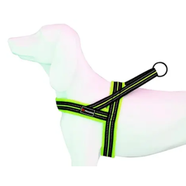 Freedog Arnés Soft-Sport Am Neon T-M 25 mmx62-72 cm Precio: 12.98999977. SKU: B1K4A8FAHE