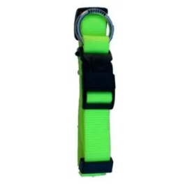 Freedog Collar Nylon Neon Verde Fluor 25 mm Precio: 5.7959004598. SKU: B13NE9P23P