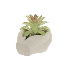 DKD Home Decor Maceta Tropical Gris Verde Cemento 12 x 11 x 10 cm (6 Unidades)